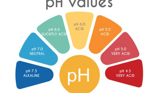 PH values image