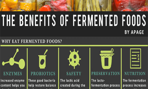 Benefits of fermented foods image